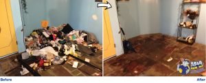 Basement Cleanout