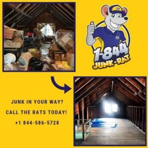 local-attic-cleanout-nj-1844-junk-rat