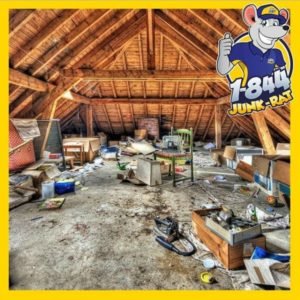 attic-cleanout-nj-1844-junk-rats