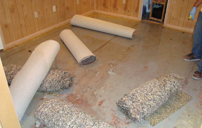 Carpet Removal