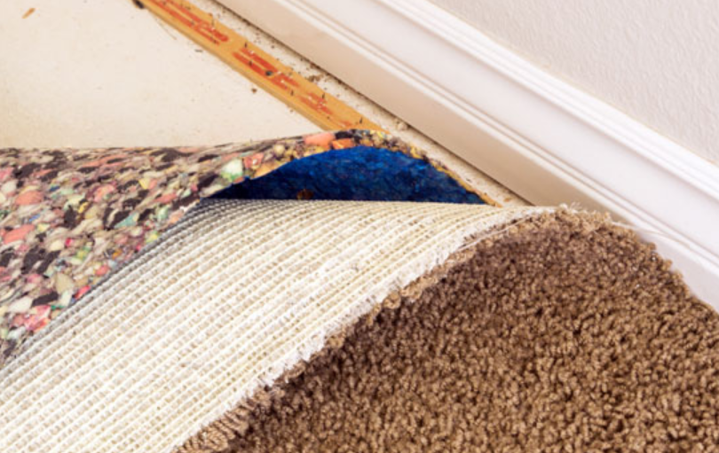 You Should Replace Your Carpet | | 1-844-JUNK-RAT