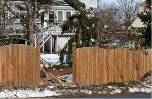 fence-removal-winter-junkrat